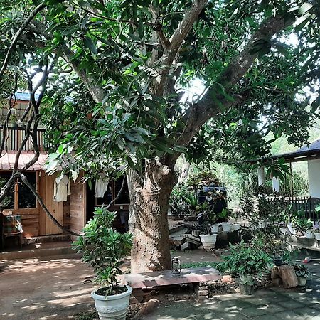 Serenity House In Dambulla Eksteriør billede
