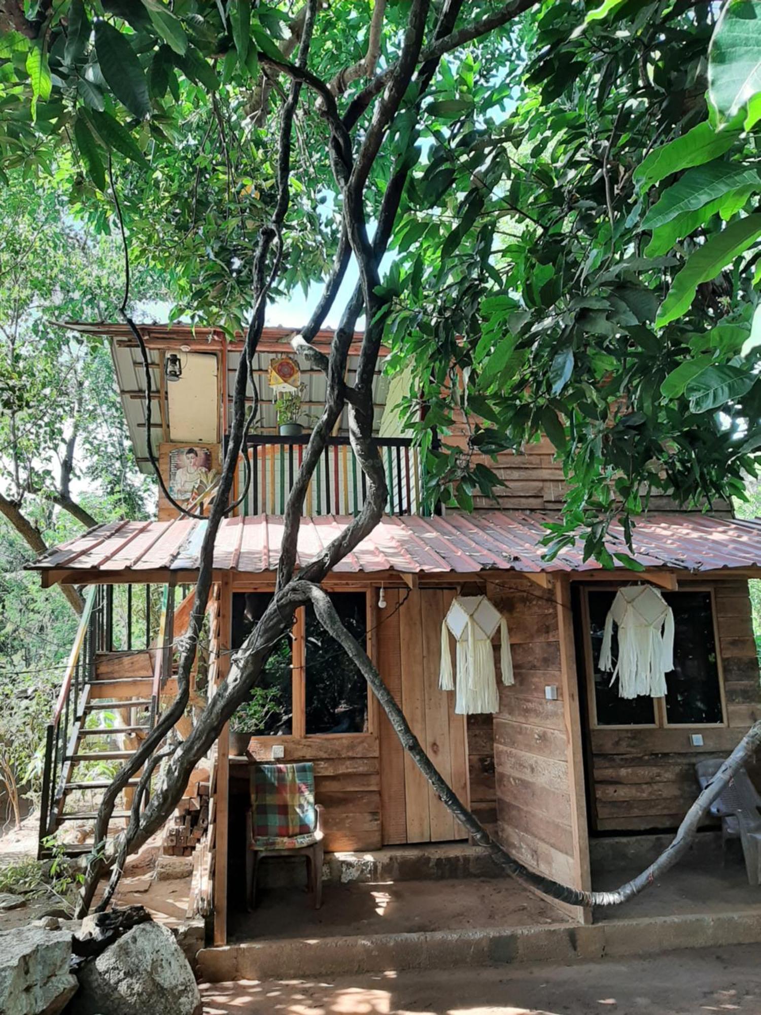 Serenity House In Dambulla Eksteriør billede