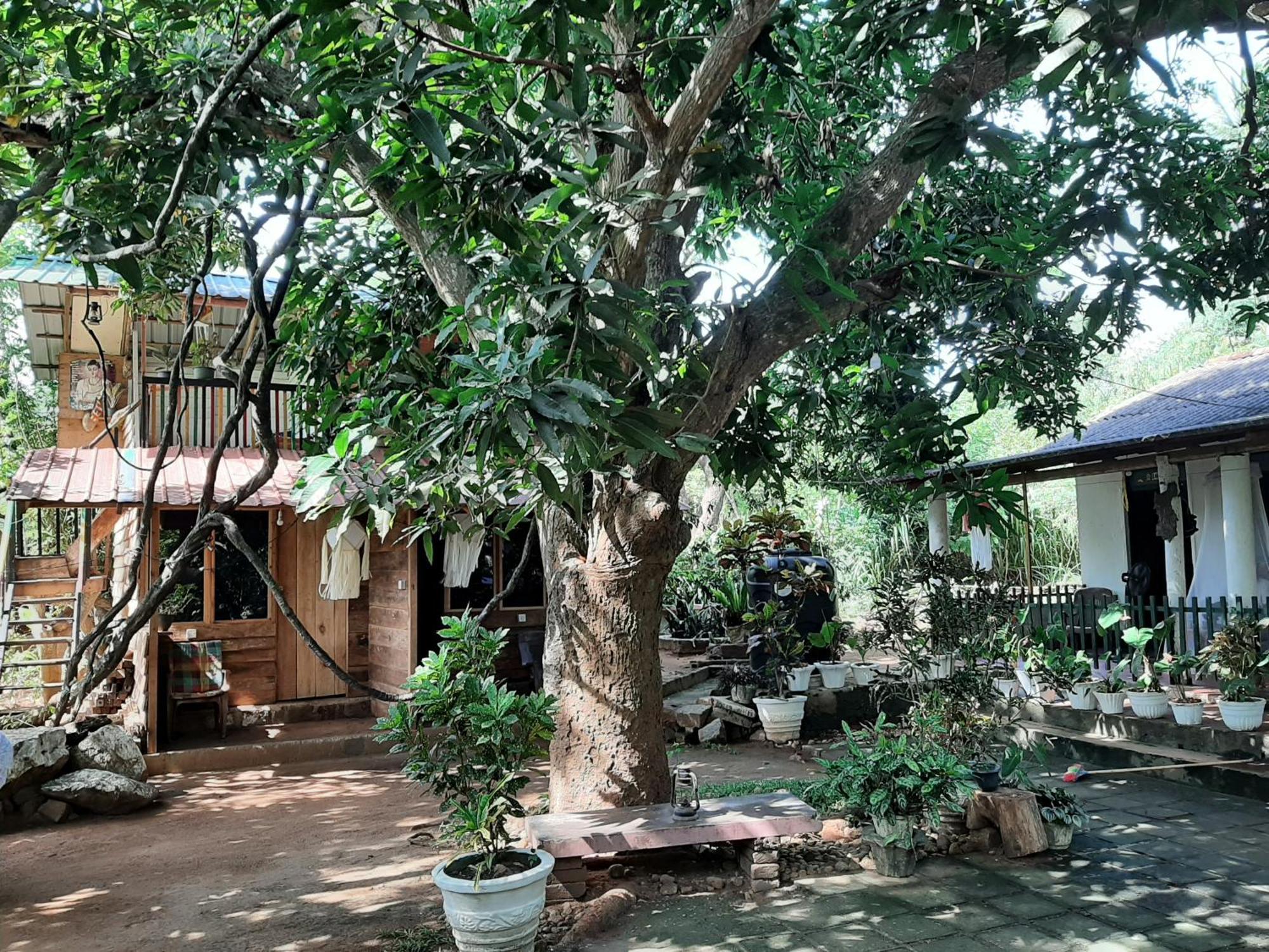 Serenity House In Dambulla Eksteriør billede