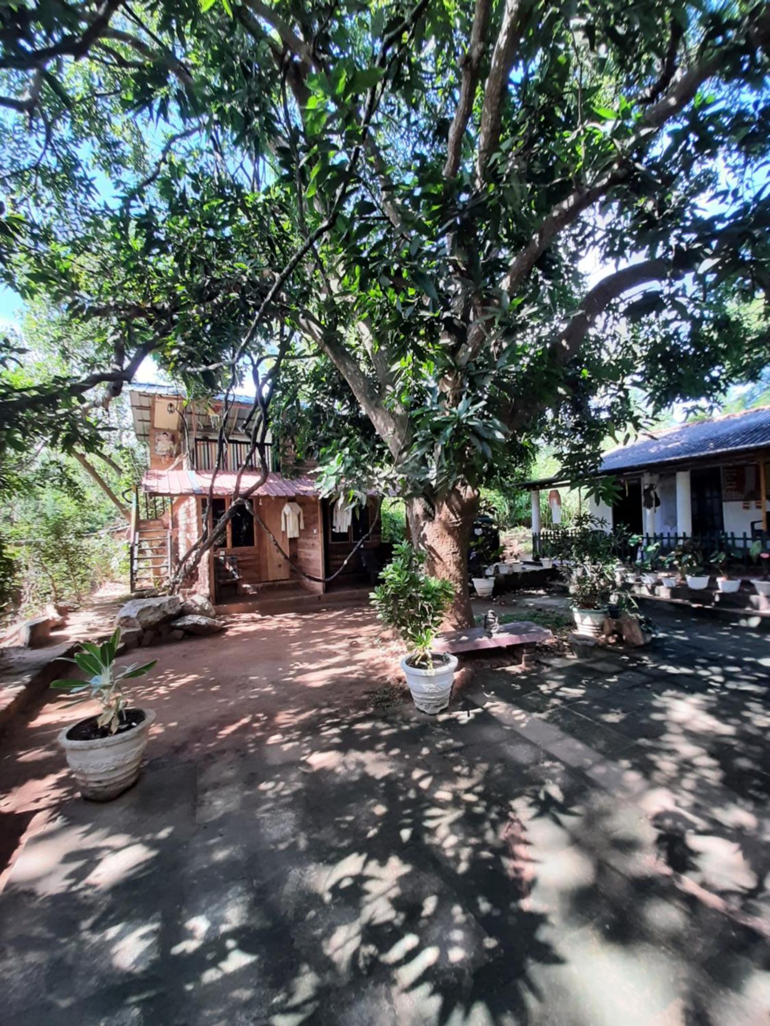 Serenity House In Dambulla Eksteriør billede